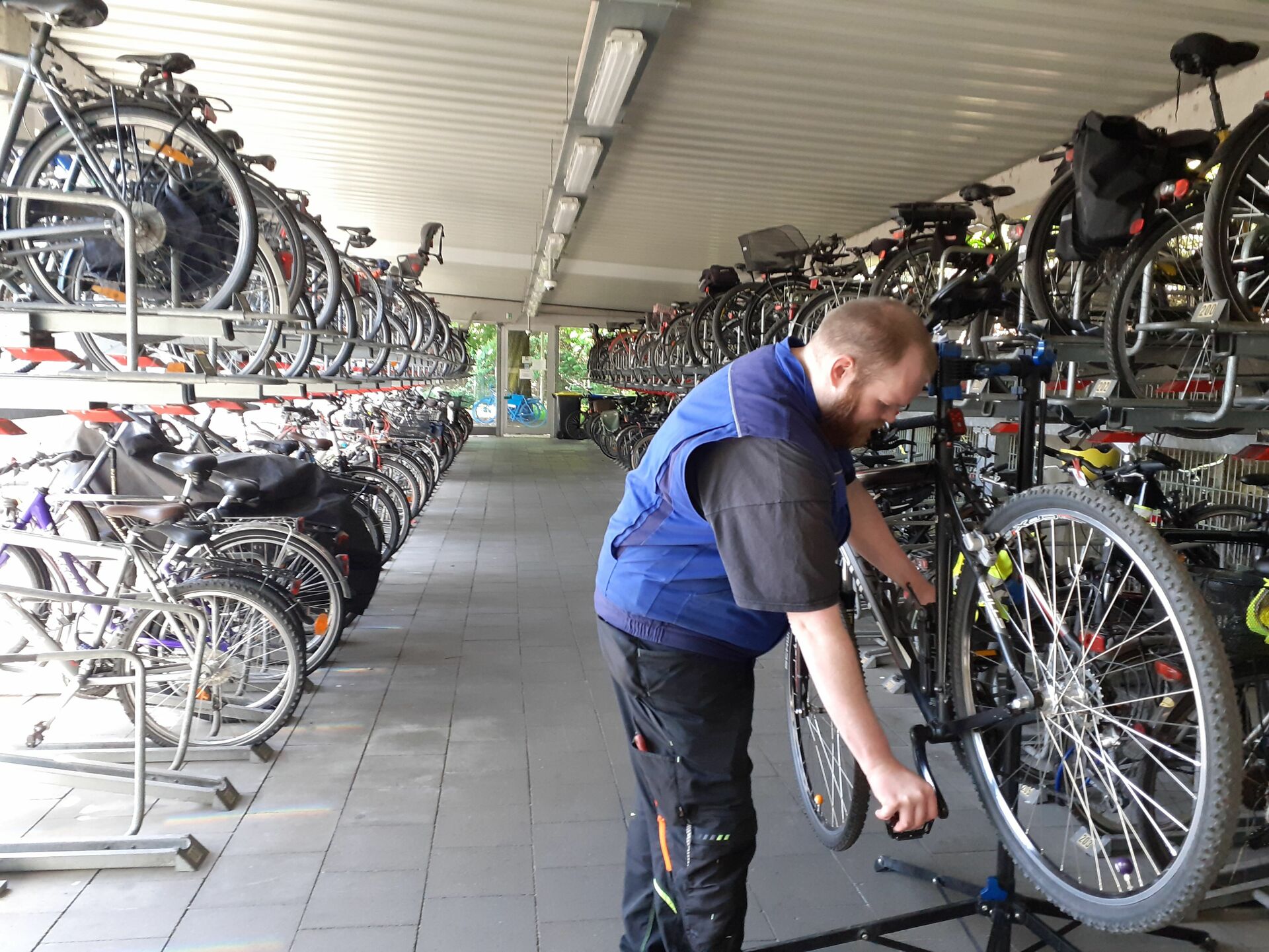 Tagesstruktur durch Arbeit in der Radstation - Von der Wohnungslosigkeit zur Ausbildungsstelle